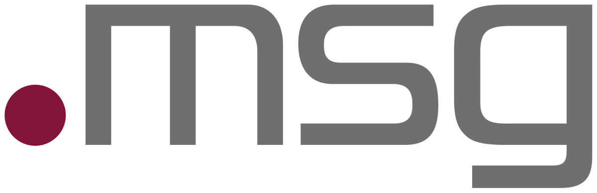 Logo msg systems ag